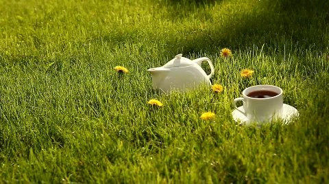 Tea 스톡 동영상 847510