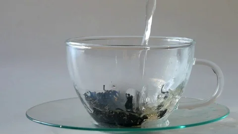 Tea Video stock 117337456