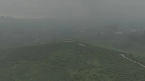 TEA GARDEN WEST JAVA Stock-Footage 204035811