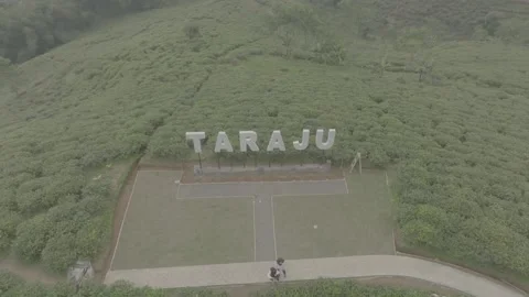 TEA GARDEN WEST JAVA Vídeos de archivo 204036212