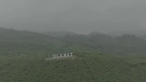 TEA GARDEN WEST JAVA Vídeos de archivo 204036718