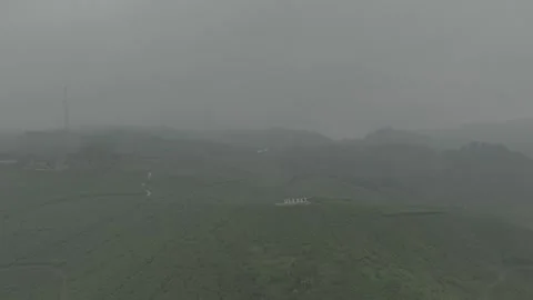 TEA GARDEN WEST JAVA Stock-Footage 204037182