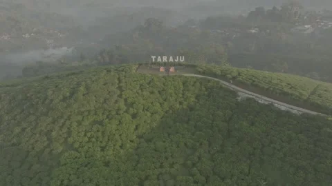 TEA GARDEN WEST JAVA Stock-Footage 204037901