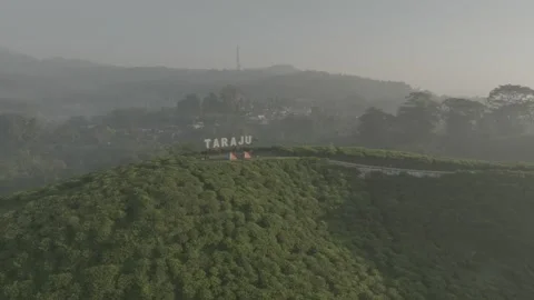 TEA GARDEN WEST JAVA Vídeos de archivo 204039667