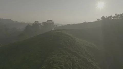 TEA GARDEN WEST JAVA Vídeos de archivo 204041373