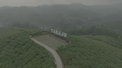 TEA GARDEN WEST JAVA Stock-Footage 204041658