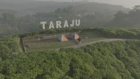 TEA GARDEN WEST JAVA Stock-Footage 204041736