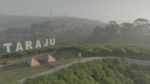 TEA GARDEN WEST JAVA Vídeos de archivo 204042104