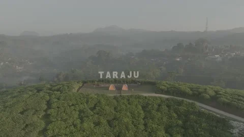 TEA GARDEN WEST JAVA Vídeos de archivo 204044130