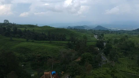 Tea Gardens Subang east java Indonesia 스톡 동영상 107879913