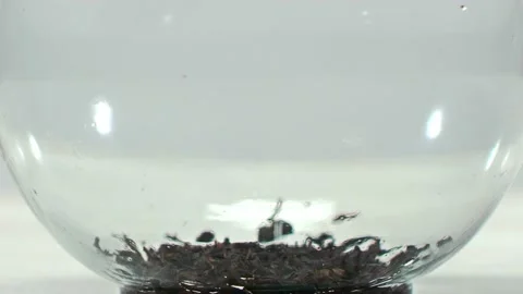 Tea in a glass teapot with hot water is mixed in slow motion.Filling up Turkish 스톡 동영상 130232853