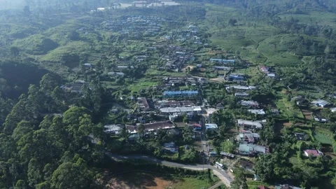 Tea growing valley and community houses Stock Footage 296930821