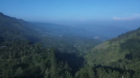 Tea growing Valley Stock Footage 296930348