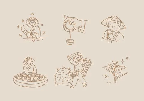Tea harvesting collection beige Stock Illustration