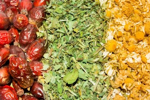 Tea herbs Stock Photos