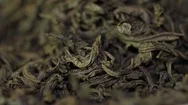 Tea Herbs Texture. Green Tea. Organic Dried Green Tea Leaves. Heap Of Dry Green Stock Footage