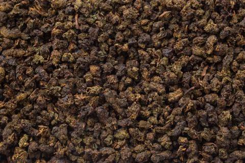 Tea herbs texture. Oolong tea background. Organic dried green tea leaves. Stock-Fotos