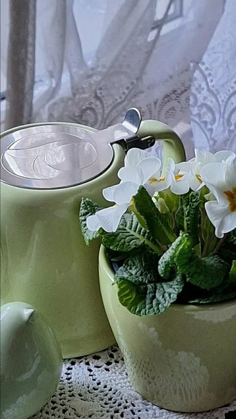 Tea Kettle and Flowerpot Stock Footage 304325458