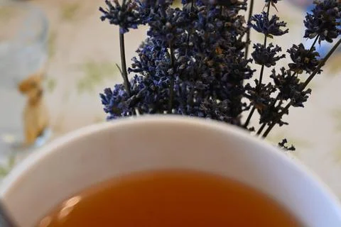 Tea with lavender sprigs Stockfoto's