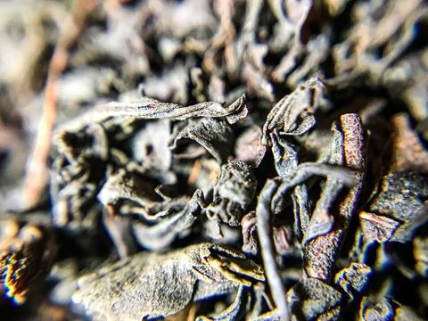 Tea leaf. Dry tea. Close-up of tea. Stock Photos