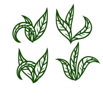 Tea leaf. Green plant. Set of hand-drawn natural elements. Illustrazione stock