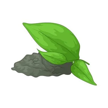 Tea leaf illustration Stock Illustration
