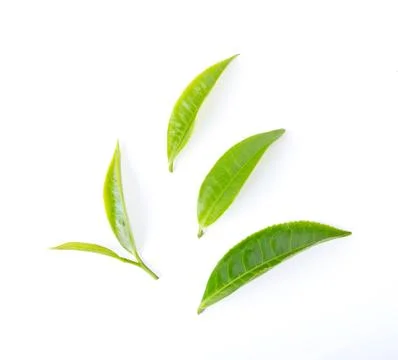 Tea leaf isolated on white background. top view Stock Photos
