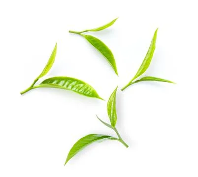 Tea leaf isolated on white background. top view Stock Photos