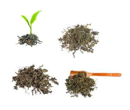 Tea leaf isolated on white background Stock-Fotos