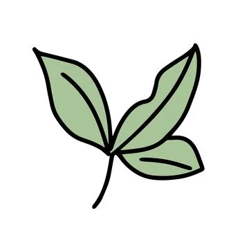 Tea leaf isolated on white. Doodle vector illustration Stock Illustration