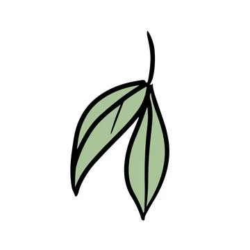 Tea leaf isolated on white. Doodle vector illustration Stock Illustration
