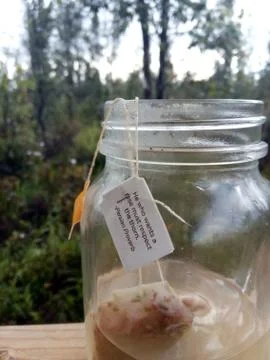 Tea leaf message Stock Photos