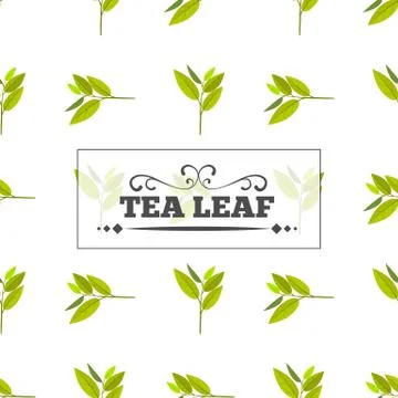 Tea leaf Seamless pattern for your background. Young May month leaf crop. Flat Stock Illustration