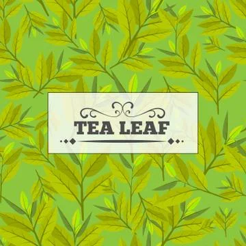 Tea leaf Seamless pattern for your background. Young May month leaf crop. Flat Stock Illustration