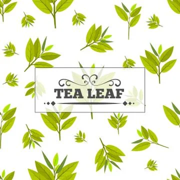 Tea leaf Seamless pattern for your background. Young May month leaf crop. Flat Illustrazione stock
