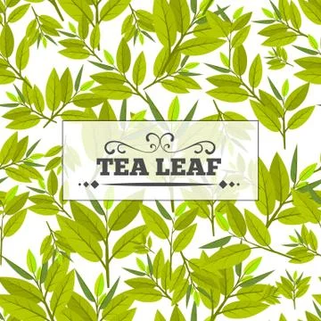 Tea leaf Seamless pattern for your background. Young May month leaf crop. Flat Stock Illustration