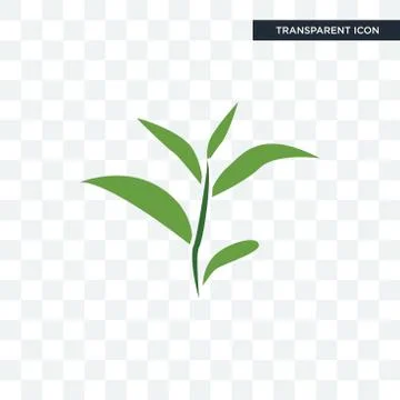 Tea leaf vector icon isolated on transparent background, tea leaf logo design イラスト素材