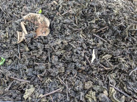 Tea leaf waste Stock Photos