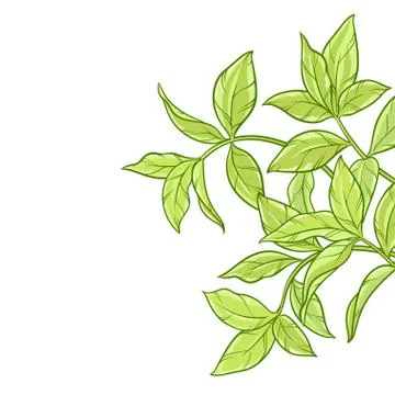 Tea leaves background Stock Illustration