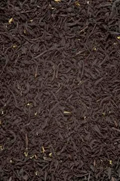 Tea leaves background Stock Photos