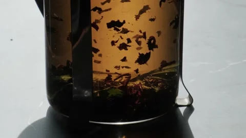 Tea leaves fall to bottom of clear glass pitcher. Making refreshing glass of tea Stock Footage 162209035
