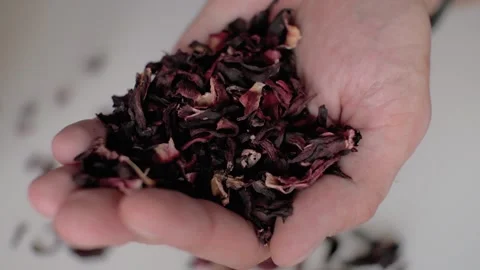 Tea leaves fall into the hand close-up in slow motion Stock Footage 156258945