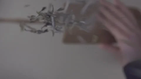 Tea leaves falling Stock Footage 278959912