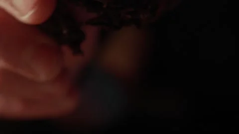 Tea Leaves Falling From Hand Stock Footage 321891693