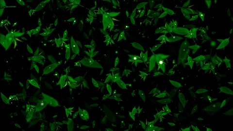 Tea Leaves with Glitter. Tea Leaves flying. Loop Stock Footage 113473647