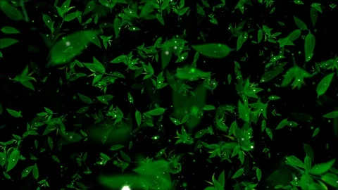 Tea Leaves with Glitter. Tea Leaves flying. Loop Stock Footage 113473708