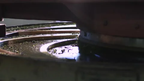 Tea leaves Grinder Video stock 288848058