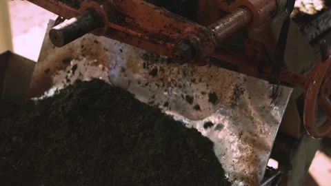 Tea leaves Grinder Stock Footage 288848104
