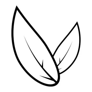 Tea leaves icon. Stock Illustration