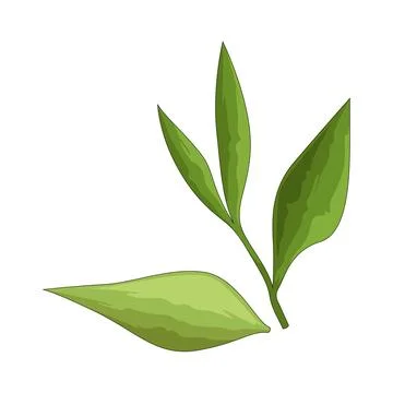 Tea leaves illustration Stock Illustration